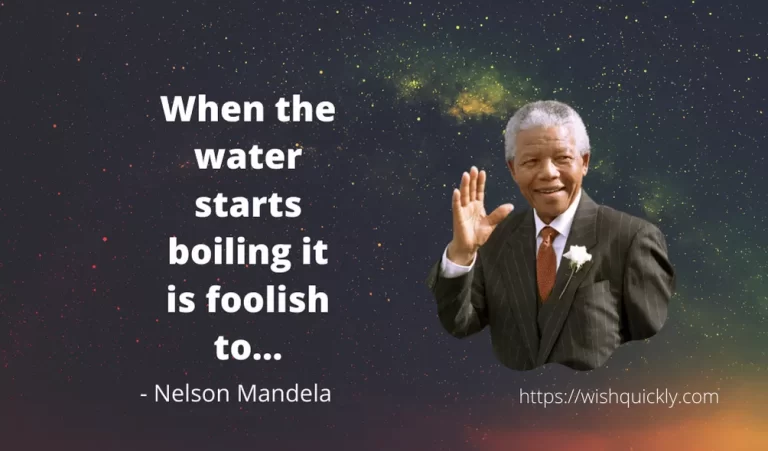 31 Most Wise Nelson Mandela Quotes That Will Inspire Your Success
