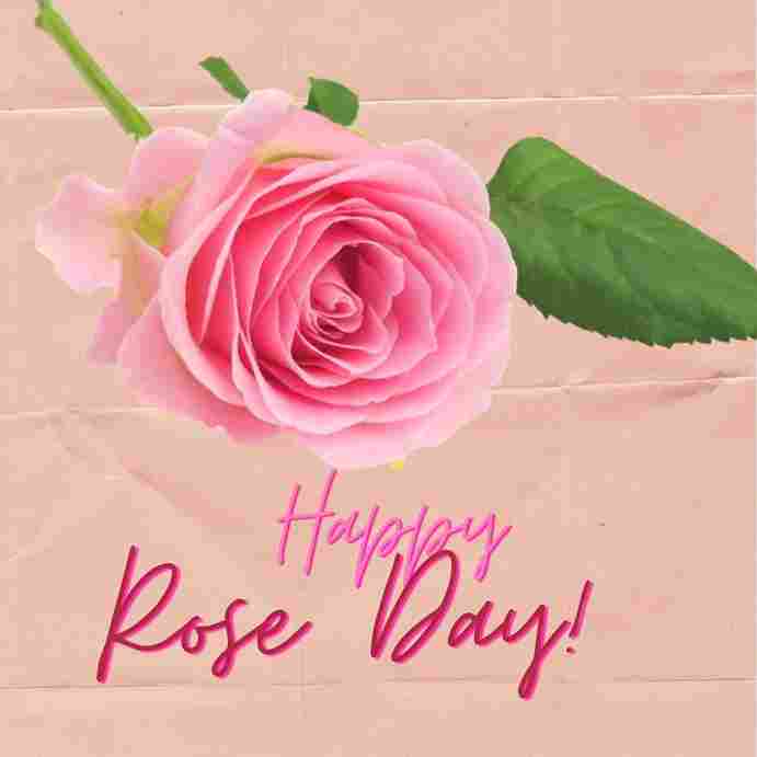 Rose Day Images 1
