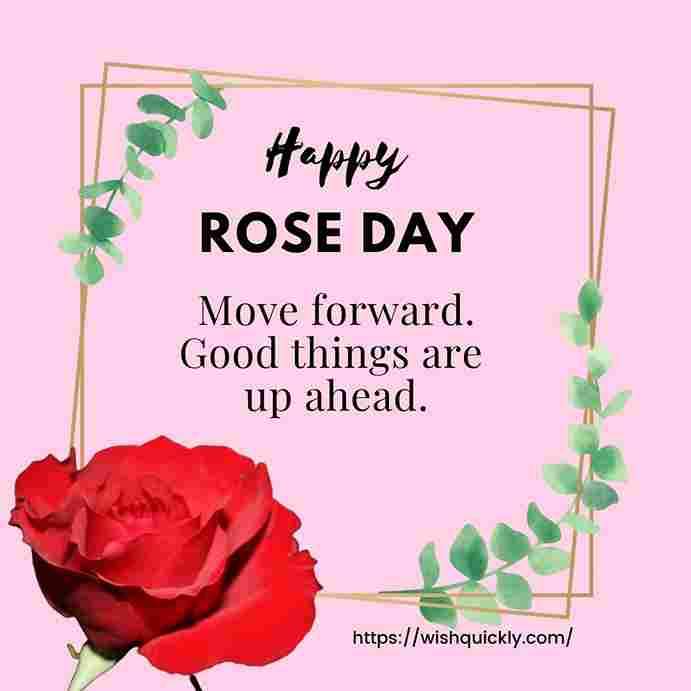 Rose Day Images 10