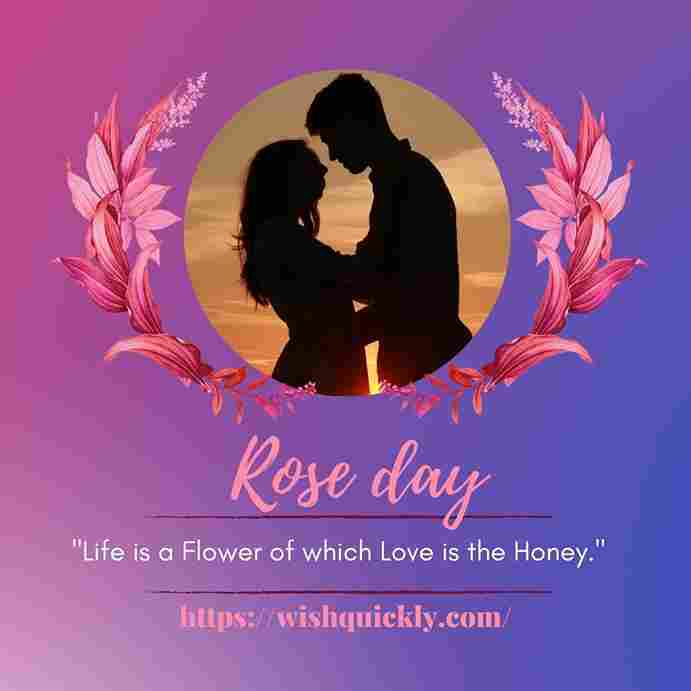 Rose Day Images 13