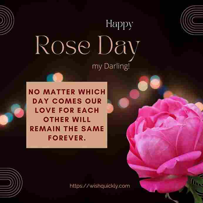 Rose Day Images 15