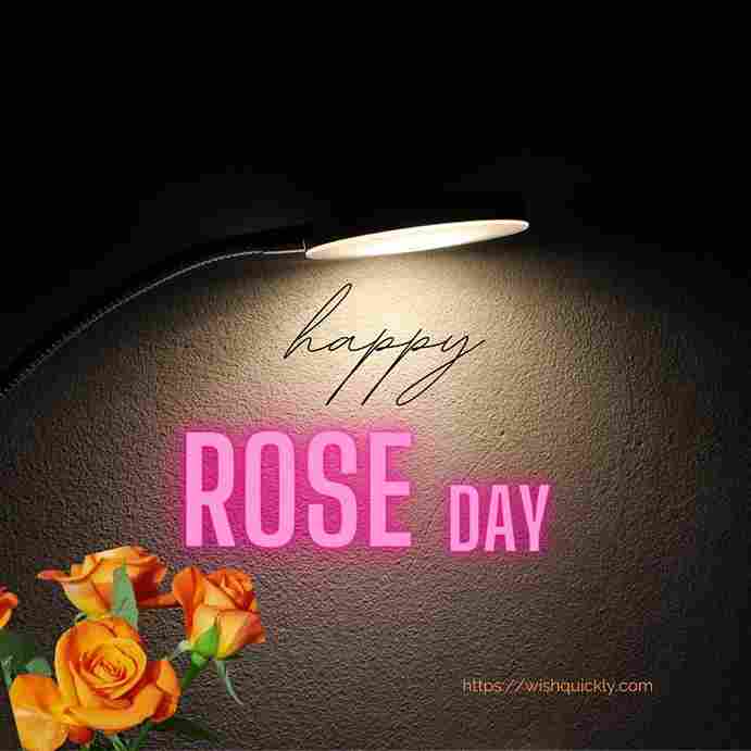 Rose Day Images 16