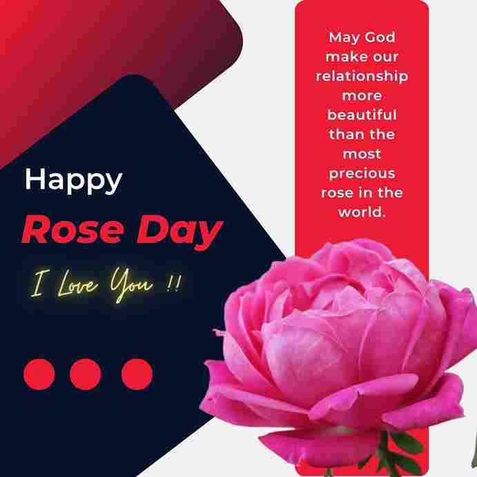 Rose Day Images 18