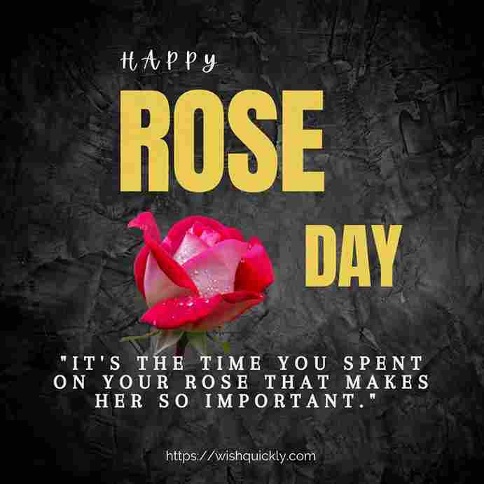 Rose Day Images 32