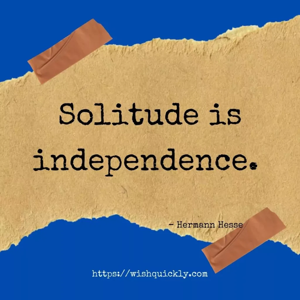 Best Alone Quotes for You to Enjoy Your Solitude 3